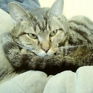 Meet your Posher, Carlee